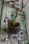 Snowdrops and moss wrapped in felt