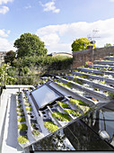 Terraced green roof