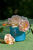 Rose petals in a coffee mug