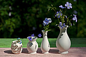 Row of white vases containing flax, voila, campanula and forget-me-not flowers