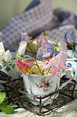 Sweet peas and dill flowers in small cups