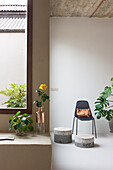 Minimalistisches Interieur mit Pflanzen und modernen Sitzhockern aus Beton