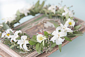 Scented wreath of hyacinths, daisies and eucalyptus buds