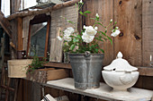 A soup tureen and a zinc bucket with white roses on a wooden shelf