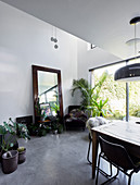 Floor-standing mirror and collection of houseplants in dining room with concrete floor