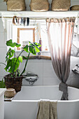 Free-standing bathtub and houseplant