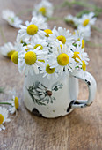 Posy of chamomile flowers