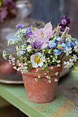 Spring bouquet of aquilegia, forget-me-nots, cow parsley, chive flowers, strawberry flowers and knotweed in terracotta pot