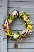 Wreath with grape hyacinths, hyacinths, narcissus, crocus and star-of-Bethlehem hung on door