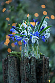 Blue and white bouquet of snowdrops and blue stars