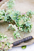 Hydrangea blossoms being tied with wire to a wreath