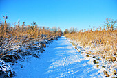 Snow-covered farm track