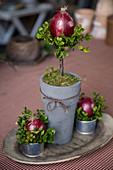 Decoration idea with a pot and red onions