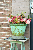 Roses, hydrangea and crababble branches in old metal bucket