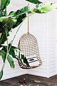 Hanging chair and green plant on the terrace