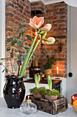 Amaryllis, eucalyptus branch and hyacinths on table with exposed brick wall in background