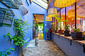 Narrow patio with blue walls and windows