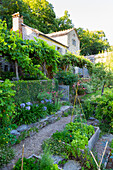Sommerlicher, terrassenförmiger Garten mit Beeteinfassungen