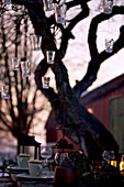 Hanging lanterns on a tree over a settable