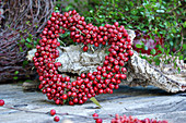 Heart made from hawthorn berries