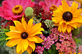 Sonnenhut, Zinnie, Schafgarbe und Witwenblume im Sommerblumenstrauß