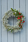 Wreath of Santolina and Cotoneaster with berries on door