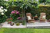 Liegestühle auf Holzdeck an der Hecke, Ulme als Schattenspender und Hortensien, Topf mit Geranie, Lavendel im Kies