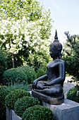 Statue of Buddha and box balls in Zen garden