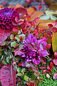 Dahlias and sprigs of leaves