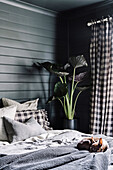 Doppelbett mit Kissen und Hund, daneben Zimmerpflanze und karierter Vorhang im schlafzimmer mit dunklen Wänden