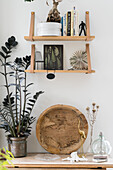 Wooden table with houseplant, shelves above on a white wall