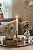 Antikes Buch, Pflanzentopf, Kerze und Glaskrug mit Hortensie auf Silbertablett