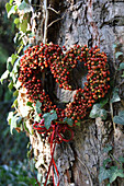 Heart made of tiny rose hips on a tree trunk