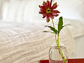 Glasvase mit Blume im Schlafzimmer