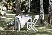 White table with tableware, basket with eucalyptus branches and two chairs in front of birch trees in the spring garden