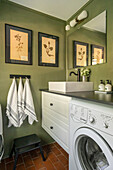 Small bathroom and laundry room with green walls and botanical pictures