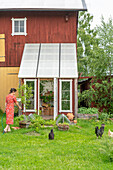 Small greenhouse in garden with woman feeding hens