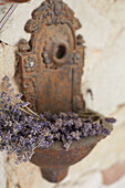 Vintage wall basin with dried lavender flowers