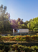 Pavilion House in a vineyard