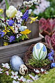 Hand-painted Easter egg in Easter nest, bouquet of grape hyacinths, Forsythia, Cherry plum blossoms, and tulip