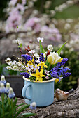 Bouquet of grape hyacinths, Forsythia, Cherry plum blossoms, sloe, and tulip in an enamel cup