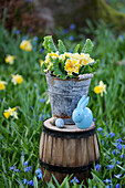 Ruffled primrose in tin pot, blue Easter bunny and Easter eggs on upturned pot in flower meadow