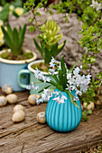 Small bouquet of puschkinia flowers in a turquoise vase