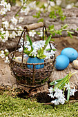 Small bouquet of Puschkinia flowers in a turquoise vase in a wire Easter basket