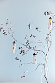 Christmas decoration with larch branches and DIY snowmen made of marshmallows