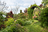 Lush overgrown garden with tendril arch