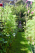 Summer garden with flower beds and lawn path