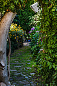 Gartenweg mit Pflastersteinen im üppig bewachsenen Garten