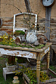 Alter Tisch mit Steintöpfen, Lärchenzweigen und Zapfen im Garten