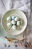Quail eggs on a ceramic plate